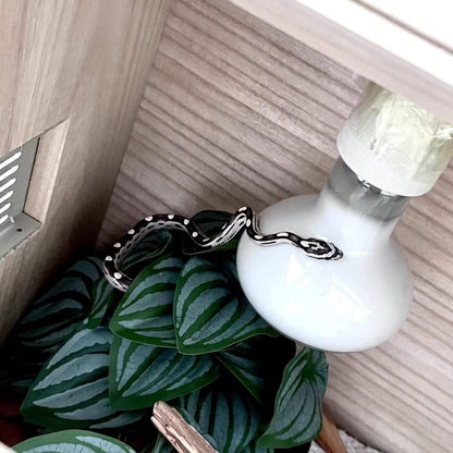 Fake Reptile Plants for Terrarium,Habitat Decor,Artificial Plant | Reptile Terrarium Decor,Fake Plants with Base for Bearded Dragon Gecko Tortoise Snake Tank Accessories-Monstera