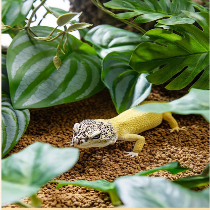 Fake Reptile Plants for Terrarium,Habitat Decor,Artificial Plant | Reptile Terrarium Decor,Fake Plants with Base for Bearded Dragon Gecko Tortoise Snake Tank Accessories-Monstera