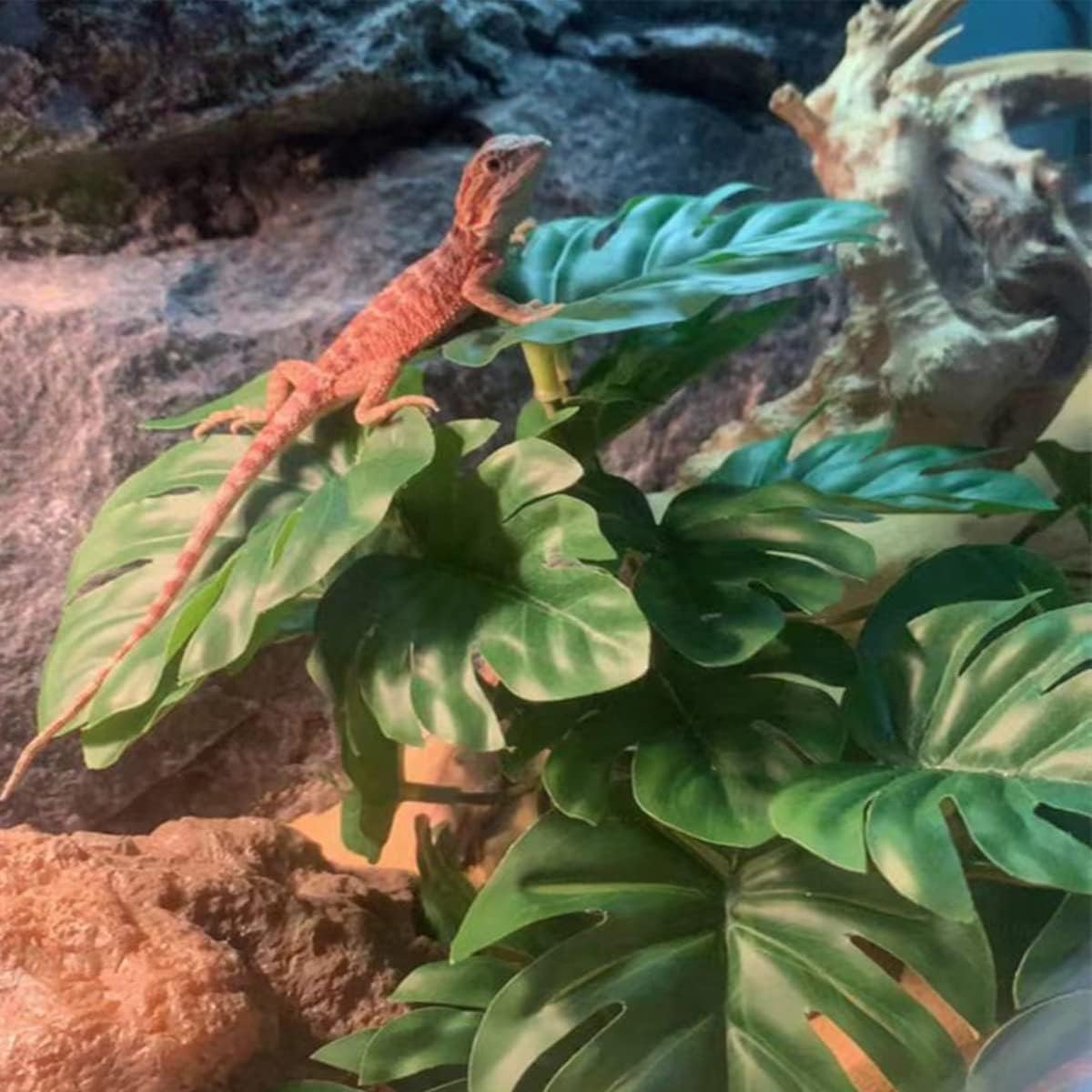 Fake Reptile Plants for Terrarium,Habitat Decor,Artificial Plant | Reptile Terrarium Decor,Fake Plants with Base for Bearded Dragon Gecko Tortoise Snake Tank Accessories-Monstera