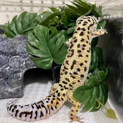 Fake Reptile Plants for Terrarium,Habitat Decor,Artificial Plant | Reptile Terrarium Decor,Fake Plants with Base for Bearded Dragon Gecko Tortoise Snake Tank Accessories-Monstera