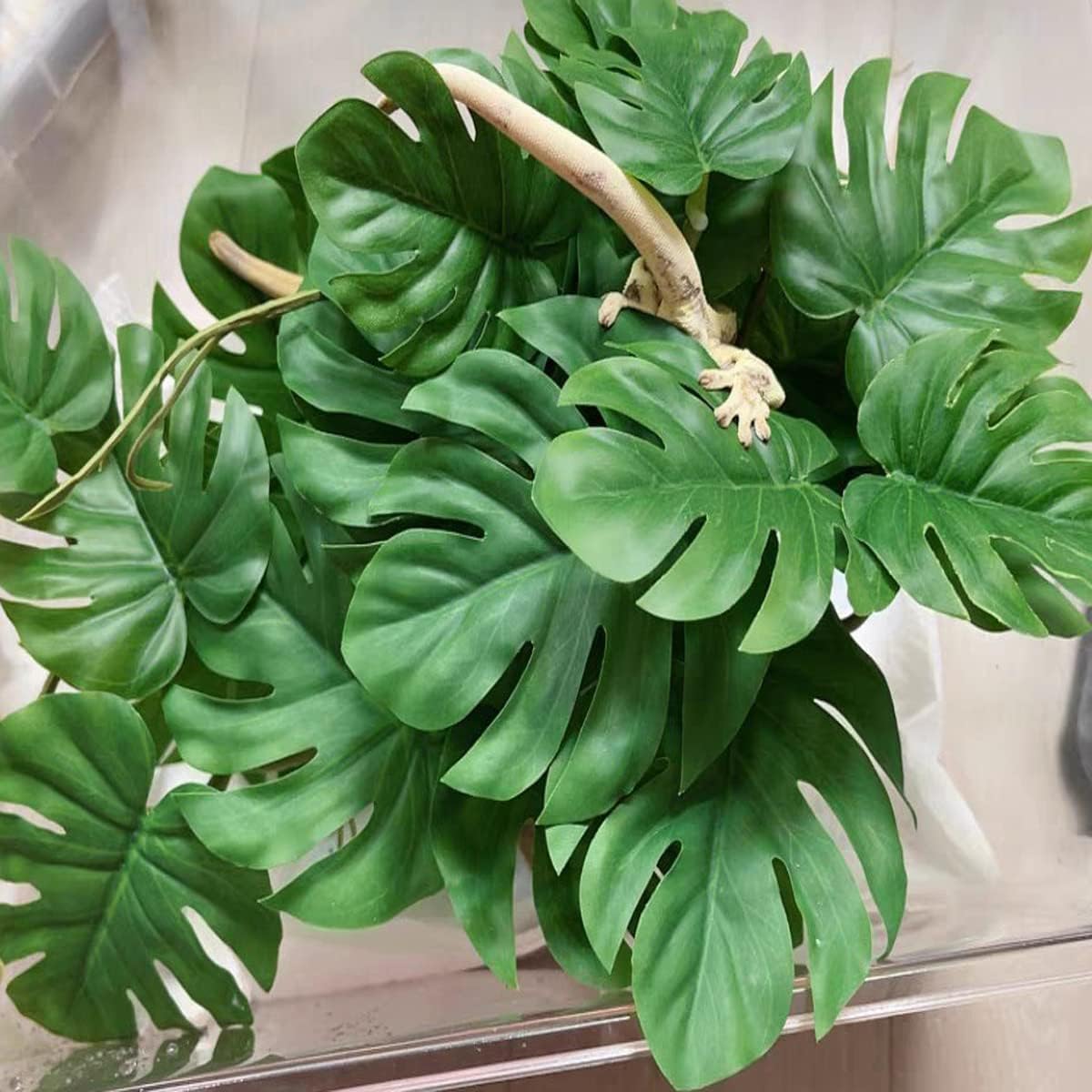Fake Reptile Plants for Terrarium,Habitat Decor,Artificial Plant | Reptile Terrarium Decor,Fake Plants with Base for Bearded Dragon Gecko Tortoise Snake Tank Accessories-Monstera