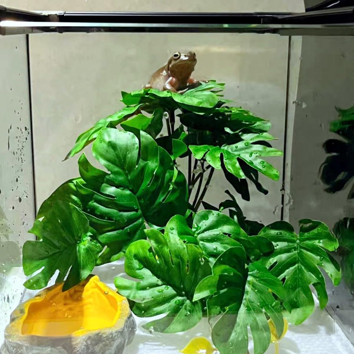 Fake Reptile Plants for Terrarium,Habitat Decor,Artificial Plant | Reptile Terrarium Decor,Fake Plants with Base for Bearded Dragon Gecko Tortoise Snake Tank Accessories-Monstera
