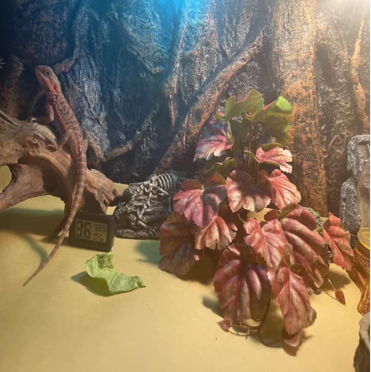 Fake Reptile Plants for Terrarium,Habitat Decor,Artificial Plant | Reptile Terrarium Decor,Fake Plants with Base for Bearded Dragon Gecko Tortoise Snake Tank Accessories-Monstera