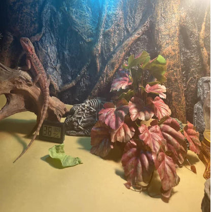 Fake Reptile Plants for Terrarium,Habitat Decor,Artificial Plant | Reptile Terrarium Decor,Fake Plants with Base for Bearded Dragon Gecko Tortoise Snake Tank Accessories-Monstera