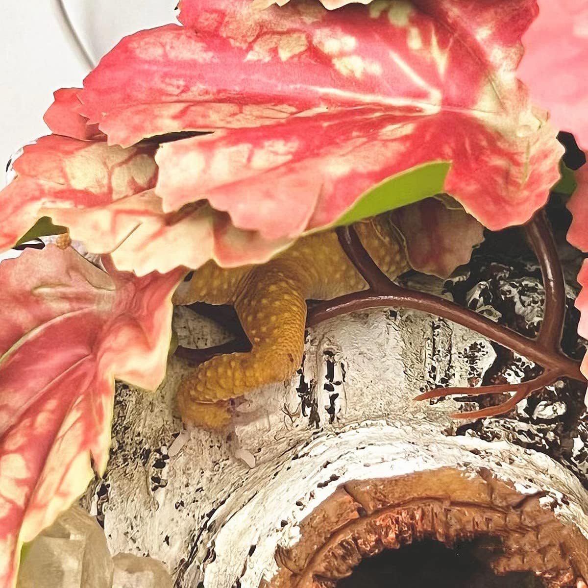 Fake Reptile Plants for Terrarium,Habitat Decor,Artificial Plant | Reptile Terrarium Decor,Fake Plants with Base for Bearded Dragon Gecko Tortoise Snake Tank Accessories-Monstera