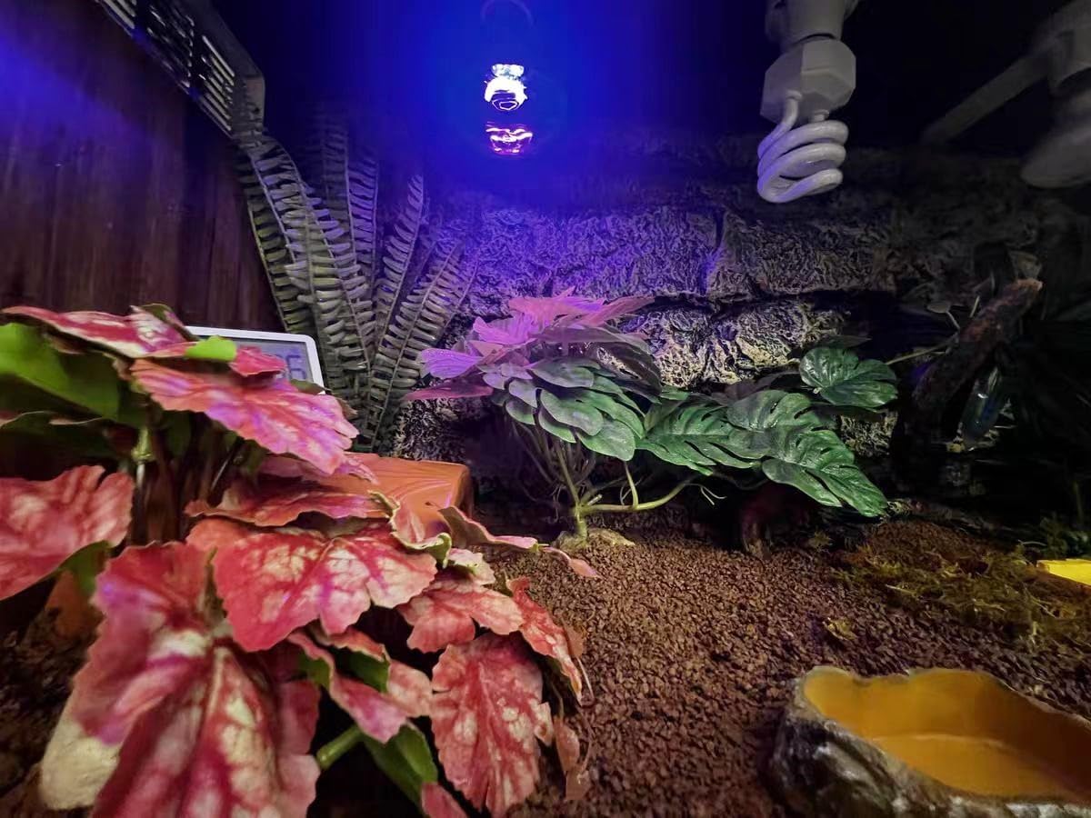 Fake Reptile Plants for Terrarium,Habitat Decor,Artificial Plant | Reptile Terrarium Decor,Fake Plants with Base for Bearded Dragon Gecko Tortoise Snake Tank Accessories-Monstera