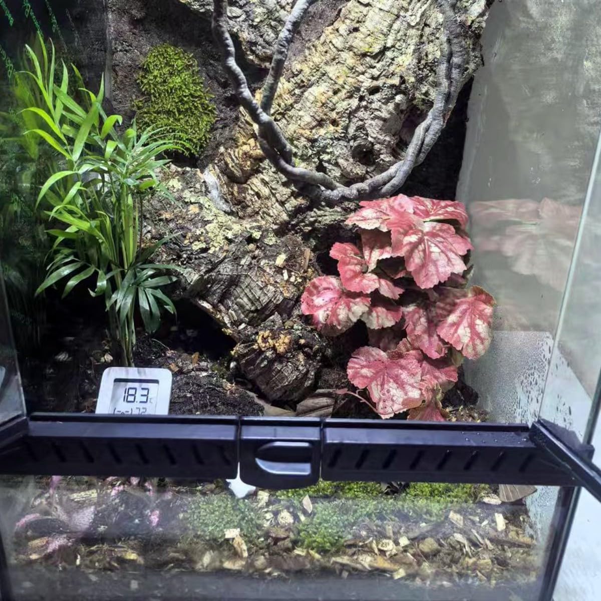 Fake Reptile Plants for Terrarium,Habitat Decor,Artificial Plant | Reptile Terrarium Decor,Fake Plants with Base for Bearded Dragon Gecko Tortoise Snake Tank Accessories-Monstera