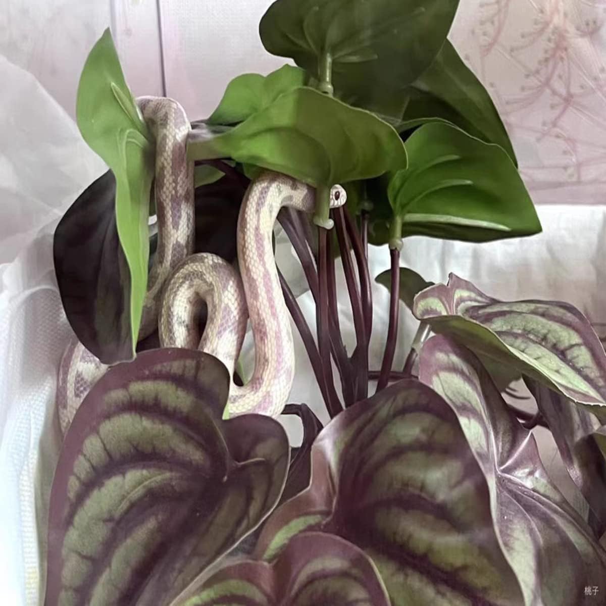Fake Reptile Plants for Terrarium,Habitat Decor,Artificial Plant | Reptile Terrarium Decor,Fake Plants with Base for Bearded Dragon Gecko Tortoise Snake Tank Accessories-Monstera