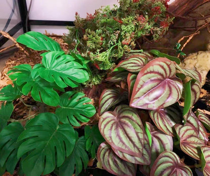 Fake Reptile Plants for Terrarium,Habitat Decor,Artificial Plant | Reptile Terrarium Decor,Fake Plants with Base for Bearded Dragon Gecko Tortoise Snake Tank Accessories-Monstera