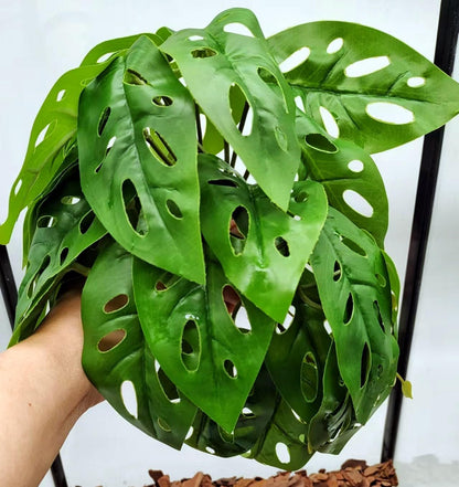 Fake Reptile Plants for Terrarium,Habitat Decor,Artificial Plant | Reptile Terrarium Decor,Fake Plants with Base for Bearded Dragon Gecko Tortoise Snake Tank Accessories-Monstera