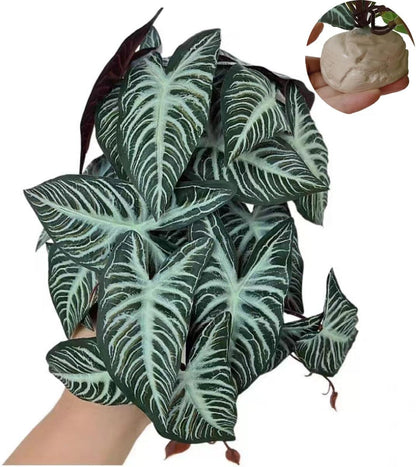 Fake Reptile Plants for Terrarium,Habitat Decor,Artificial Plant | Reptile Terrarium Decor,Fake Plants with Base for Bearded Dragon Gecko Tortoise Snake Tank Accessories-Monstera
