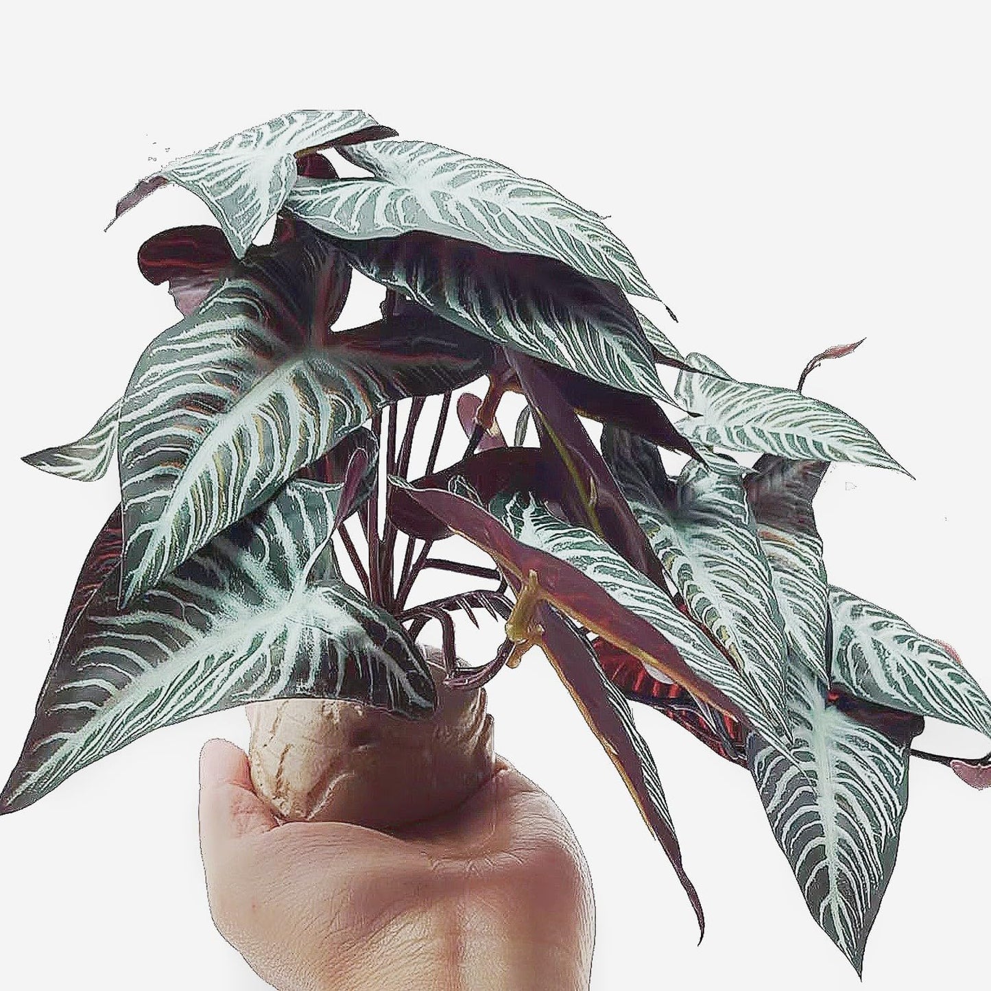 Fake Reptile Plants for Terrarium,Habitat Decor,Artificial Plant | Reptile Terrarium Decor,Fake Plants with Base for Bearded Dragon Gecko Tortoise Snake Tank Accessories-Monstera