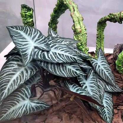 Fake Reptile Plants for Terrarium,Habitat Decor,Artificial Plant | Reptile Terrarium Decor,Fake Plants with Base for Bearded Dragon Gecko Tortoise Snake Tank Accessories-Monstera