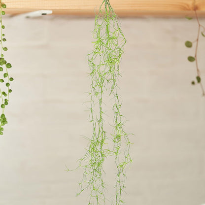 6pcs 34-inch Realistic Artificial Succulents Moss, Large Spanish Hanging Plant Vine for Indoor Home Garden Decor, Terrarium, Wreath & DIY Crafts