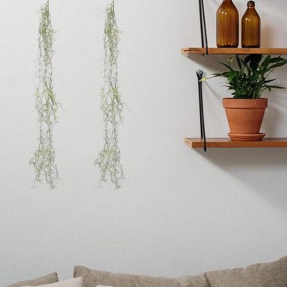 6pcs 34-inch Realistic Artificial Succulents Moss, Large Spanish Hanging Plant Vine for Indoor Home Garden Decor, Terrarium, Wreath & DIY Crafts