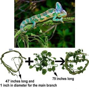 Reptile Plants for Bearded Dragon Tank Accessories, Terrarium Plant Artificial Decor for Snake Cage, Fake Plant for Leopard Gecko Habitat, Lizard Chameleon Ball Pythons (Group BN)