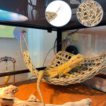 Reptile Plants for Bearded Dragon Tank Accessories, Terrarium Plant Artificial Decor for Snake Cage, Fake Plant for Leopard Gecko Habitat, Lizard Chameleon Ball Pythons (Group BN)