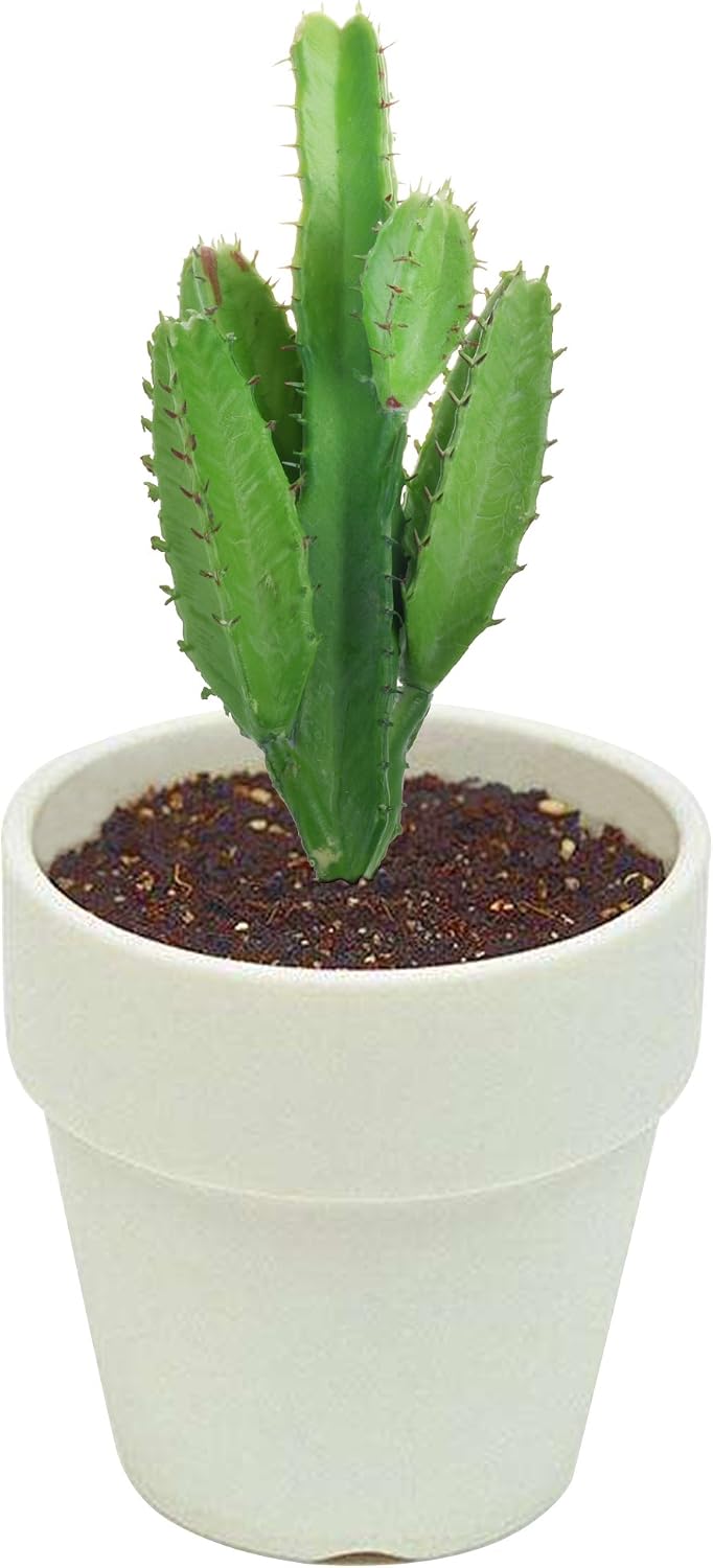 Bluecell 2pcs Real Looking Artificial Cactus Plant DIY Material for Home Decoration Flower Arrangement