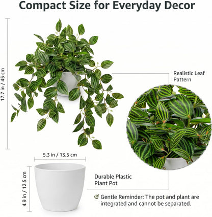 Artificial Potted Plant Indoor, 17.7" Faux Watermelon Peperomia Trailing Plant in White Plastic Pot Realistic Fake Cascading Greenery for Shelf Bathroom Office Desk Tabletop Home Decor