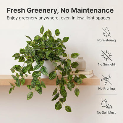 Artificial Potted Plant Indoor, 17.7" Faux Watermelon Peperomia Trailing Plant in White Plastic Pot Realistic Fake Cascading Greenery for Shelf Bathroom Office Desk Tabletop Home Decor