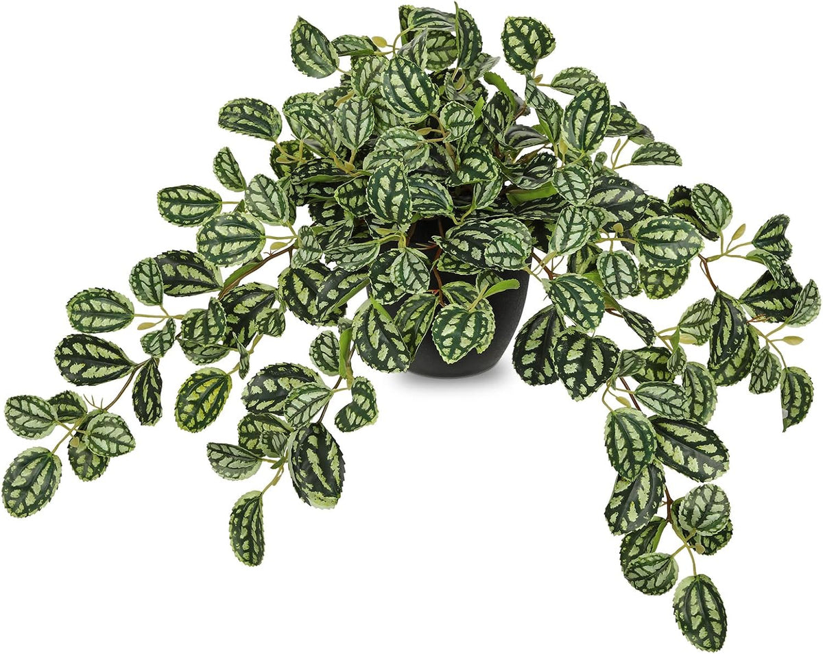 Artificial Potted Plant Indoor, 17.7" Faux Watermelon Peperomia Trailing Plant in White Plastic Pot Realistic Fake Cascading Greenery for Shelf Bathroom Office Desk Tabletop Home Decor