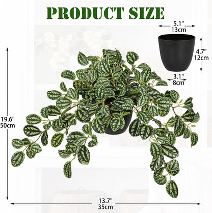 Artificial Potted Plant Indoor, 17.7" Faux Watermelon Peperomia Trailing Plant in White Plastic Pot Realistic Fake Cascading Greenery for Shelf Bathroom Office Desk Tabletop Home Decor