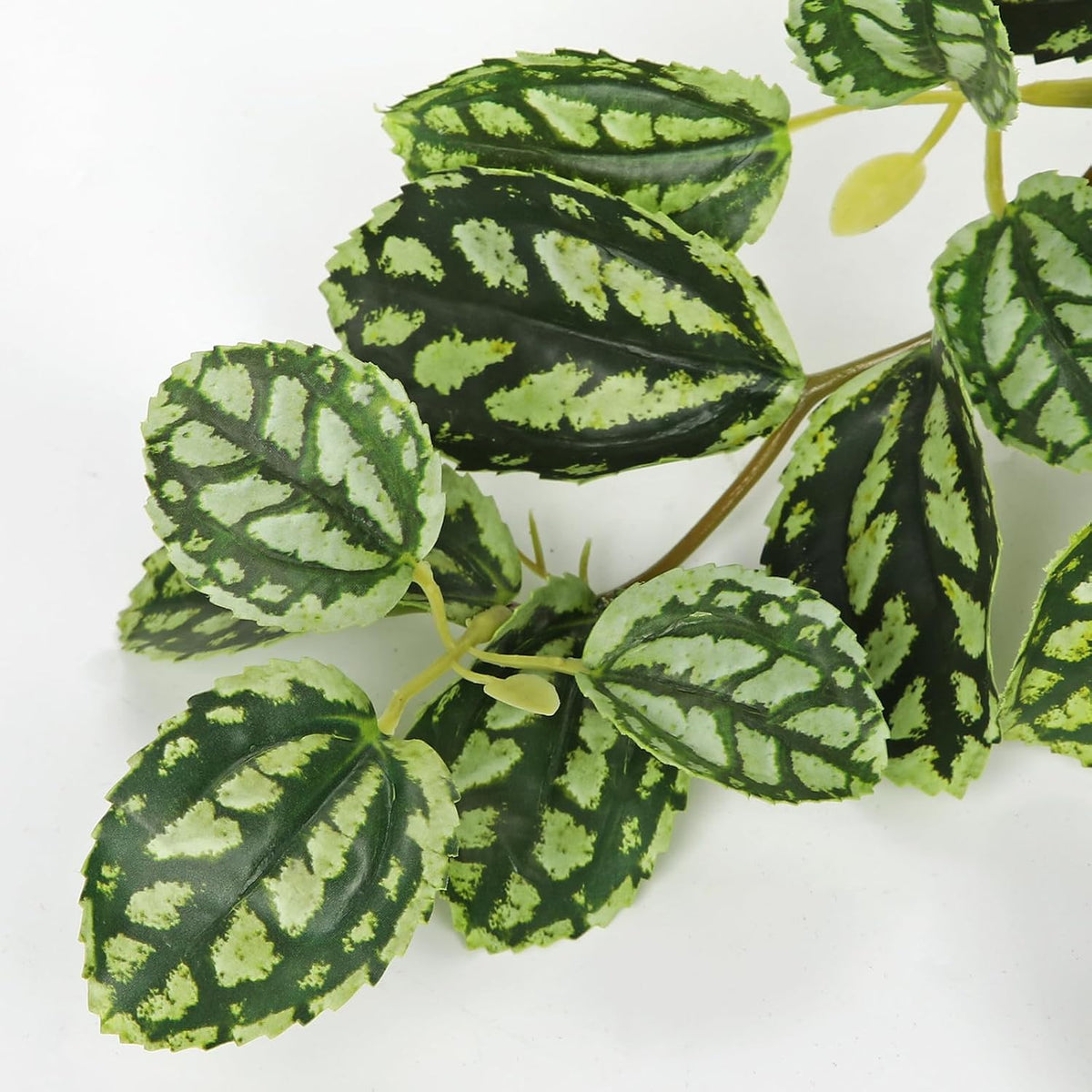 Artificial Potted Plant Indoor, 17.7" Faux Watermelon Peperomia Trailing Plant in White Plastic Pot Realistic Fake Cascading Greenery for Shelf Bathroom Office Desk Tabletop Home Decor
