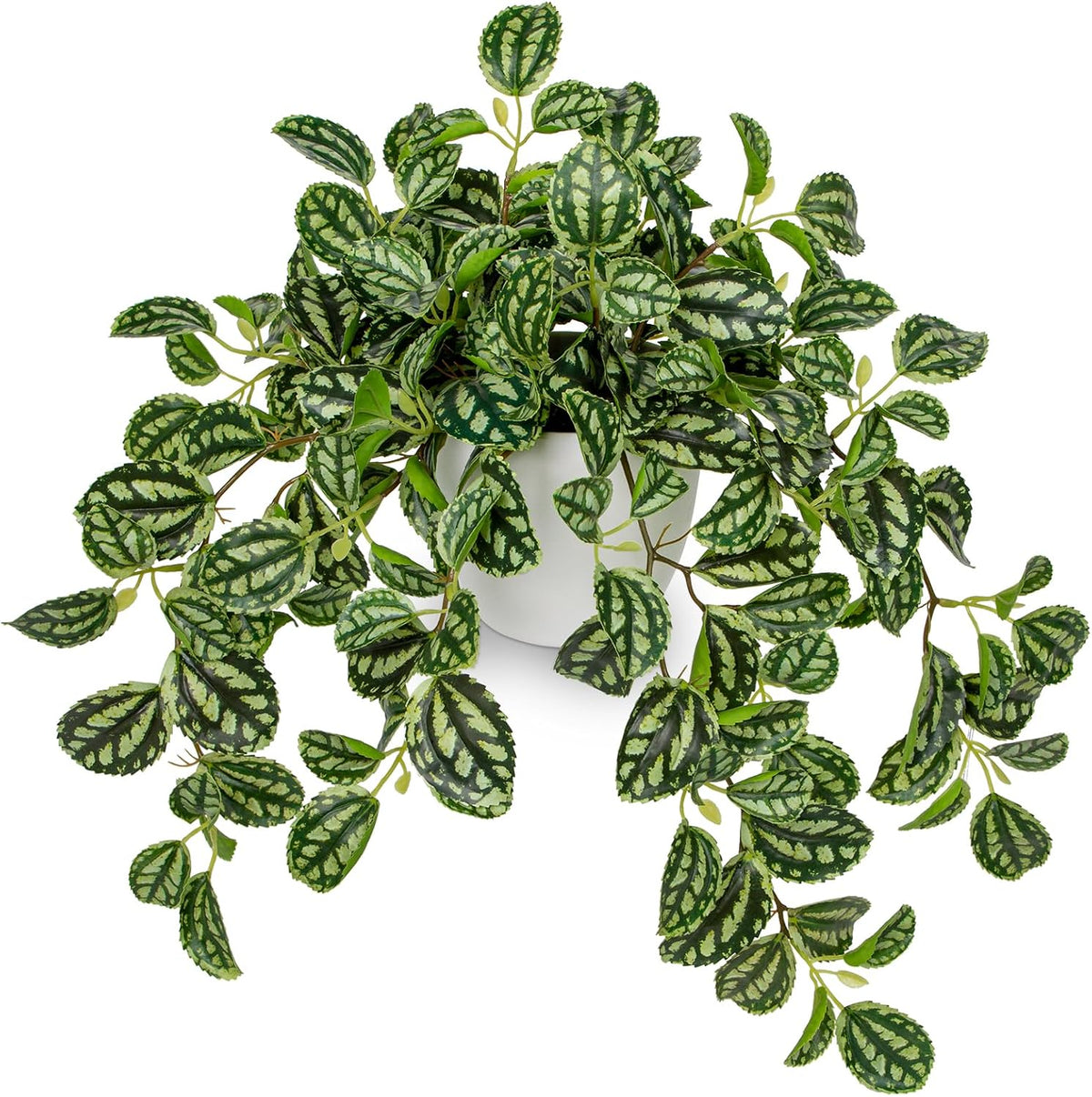 Artificial Potted Plant Indoor, 17.7" Faux Watermelon Peperomia Trailing Plant in White Plastic Pot Realistic Fake Cascading Greenery for Shelf Bathroom Office Desk Tabletop Home Decor