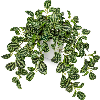 Artificial Potted Plant Indoor, 17.7" Faux Watermelon Peperomia Trailing Plant in White Plastic Pot Realistic Fake Cascading Greenery for Shelf Bathroom Office Desk Tabletop Home Decor