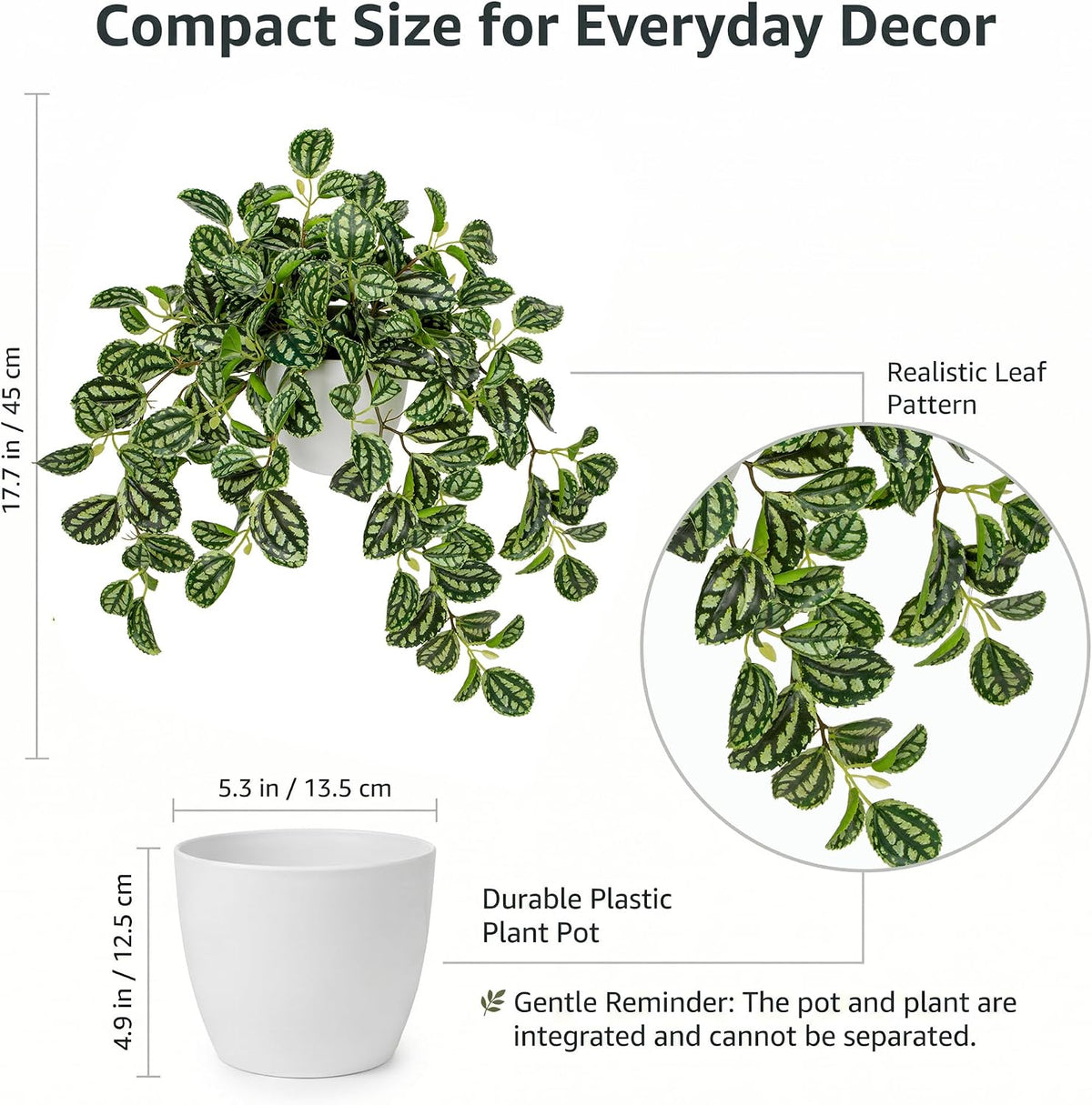 Artificial Potted Plant Indoor, 17.7" Faux Watermelon Peperomia Trailing Plant in White Plastic Pot Realistic Fake Cascading Greenery for Shelf Bathroom Office Desk Tabletop Home Decor