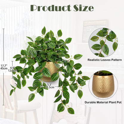 Artificial Potted Plant Indoor, 17.7" Faux Watermelon Peperomia Trailing Plant in White Plastic Pot Realistic Fake Cascading Greenery for Shelf Bathroom Office Desk Tabletop Home Decor