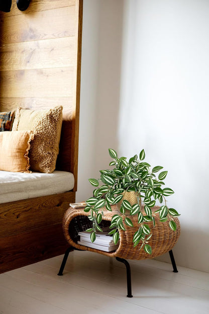 Artificial Potted Plant Indoor, 17.7" Faux Watermelon Peperomia Trailing Plant in White Plastic Pot Realistic Fake Cascading Greenery for Shelf Bathroom Office Desk Tabletop Home Decor