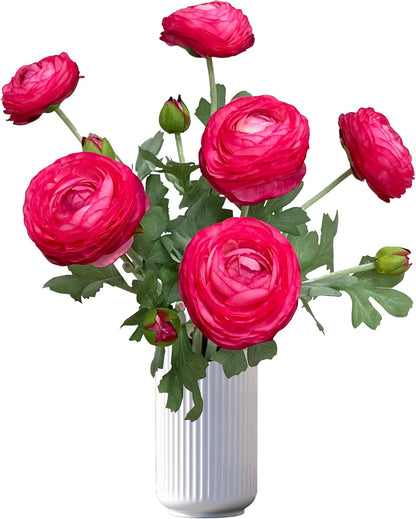 6 Pcs Purplish Red Ranunculus Artificial Flowers,Artificial Faux Silk Ranunculus Flowers with Real Touch Stems,Fake Peony Flowers for Floral Arrangements DIY Wedding Bouquet Party Table Home Decor