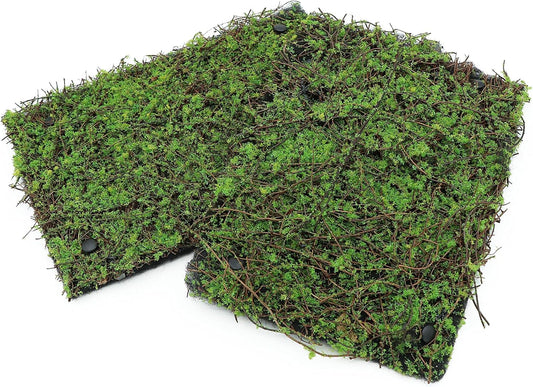 Terrarium Moss Background Backdrop Wall Artificial Reptile Amphibian Cage Decoration for Lizard Bearded Dragon Snake Frog Chameleon Climbing, Pack of 2