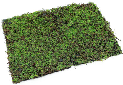 Terrarium Moss Background Backdrop Wall Artificial Reptile Amphibian Cage Decoration for Lizard Bearded Dragon Snake Frog Chameleon Climbing, Pack of 2