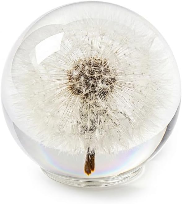 Dandelion Paperweight with Real Preserved Dandelion in Crystal, 2.6 Inch