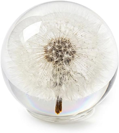 Dandelion Paperweight with Real Preserved Dandelion in Crystal, 2.6 Inch