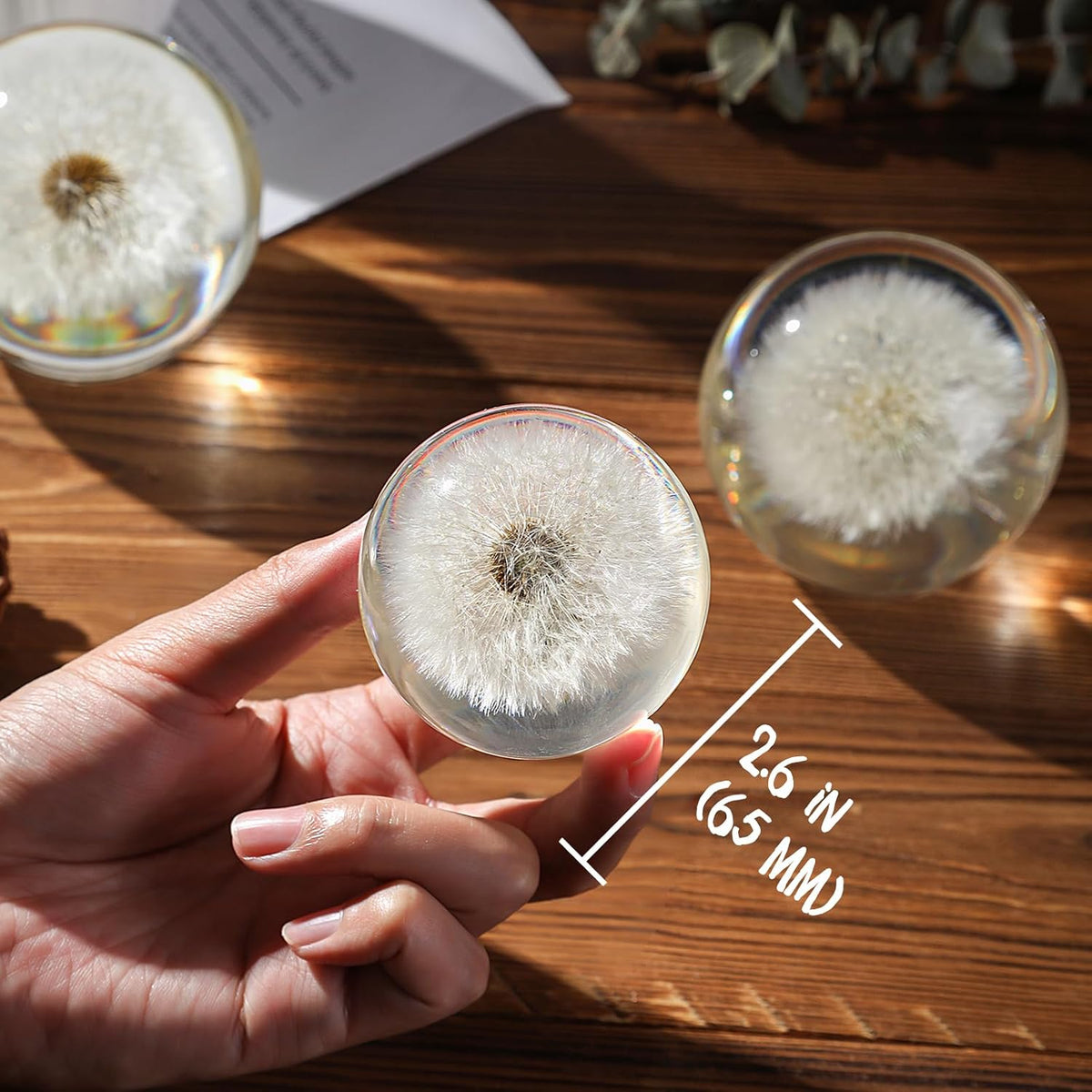 Dandelion Paperweight with Real Preserved Dandelion in Crystal, 2.6 Inch