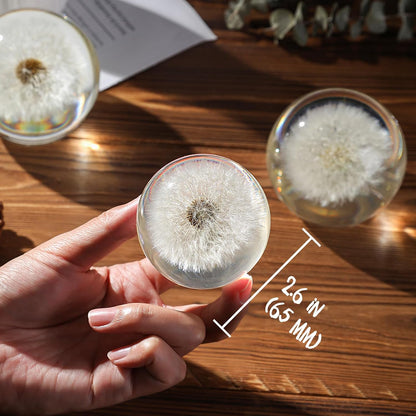 Dandelion Paperweight with Real Preserved Dandelion in Crystal, 2.6 Inch