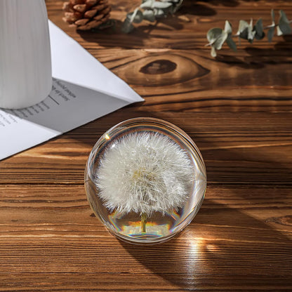 Dandelion Paperweight with Real Preserved Dandelion in Crystal, 2.6 Inch