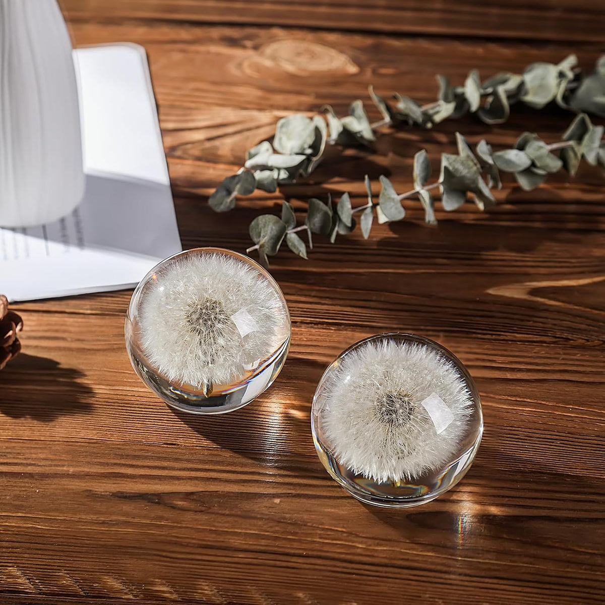 Dandelion Paperweight with Real Preserved Dandelion in Crystal, 2.6 Inch
