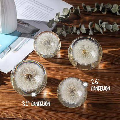 Dandelion Paperweight with Real Preserved Dandelion in Crystal, 2.6 Inch
