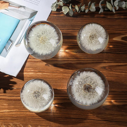 Dandelion Paperweight with Real Preserved Dandelion in Crystal, 2.6 Inch
