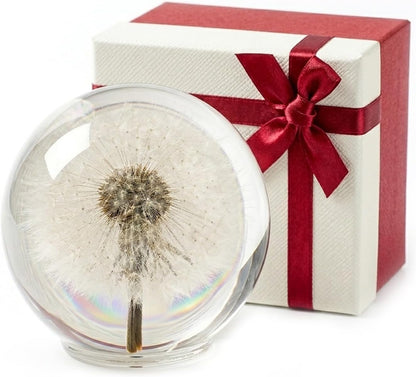 Dandelion Paperweight with Real Preserved Dandelion in Crystal, 2.6 Inch