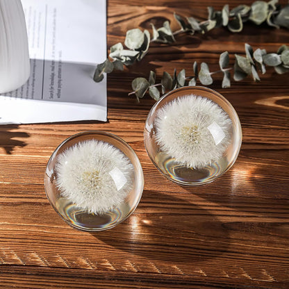 Dandelion Paperweight with Real Preserved Dandelion in Crystal, 2.6 Inch