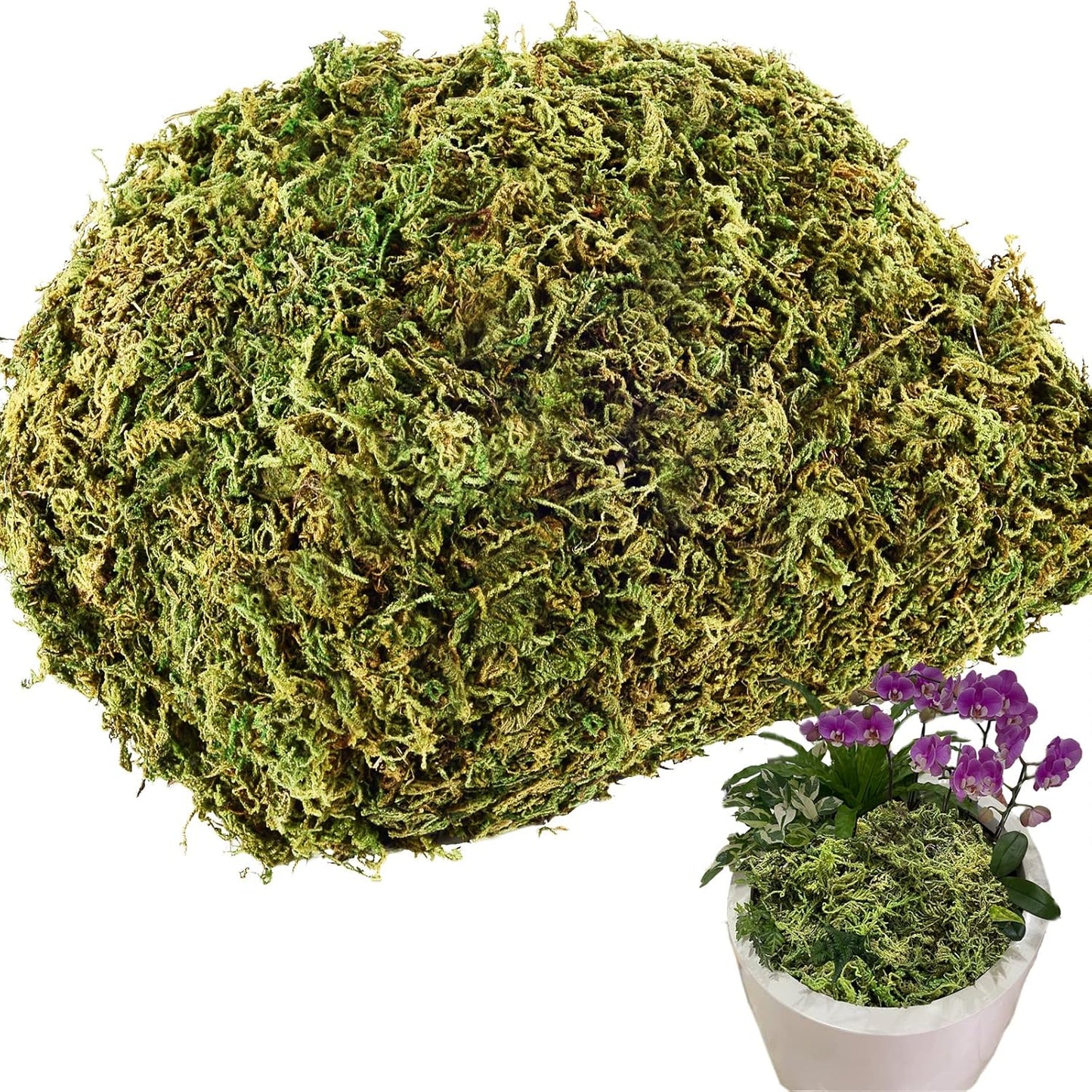10.2 OZ Fake Moss for Potted Plants & Fake Plants - Artificial Faux Moss for Planters & Craft