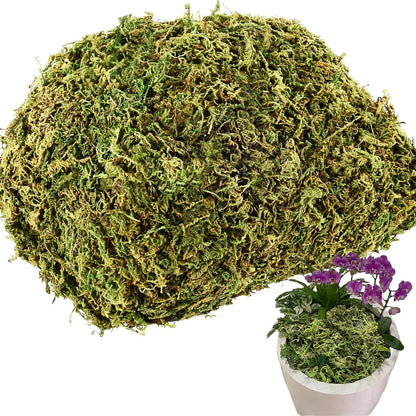 10.2 OZ Fake Moss for Potted Plants & Fake Plants - Artificial Faux Moss for Planters & Craft