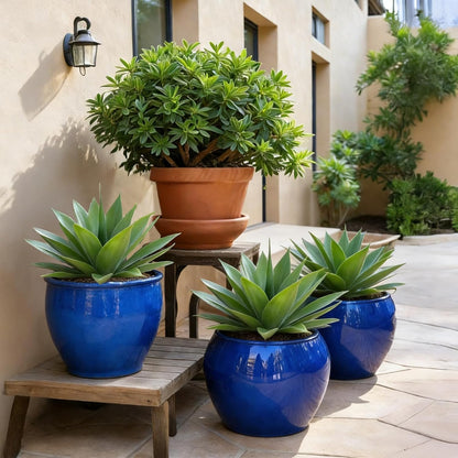 Agave Plant Artificial Faux Cactus Plants Indoor 13.7" Succulents Outdoor | UV Resistan Spiked Artificial Outdoor Plants for Planters Patio Office Table Farmhouse Home Decor