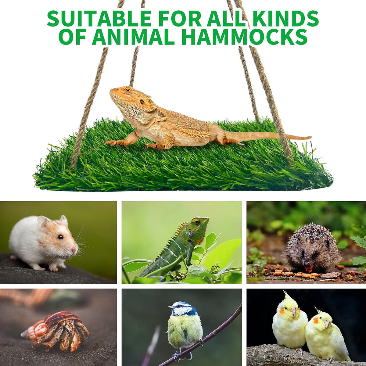 Large Green Bearded Dragon Hammock, Soft Reptile Lounger Terrarium Hanging Hammock for Hermit Crab, Lizard