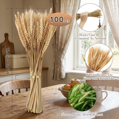 100 Stems Dried Wheat Stalks, Natural Dried Wheat Sheaves, Dry Grass Bouquet for Boho Farmhouse Home Wedding Table Kitchen Decor